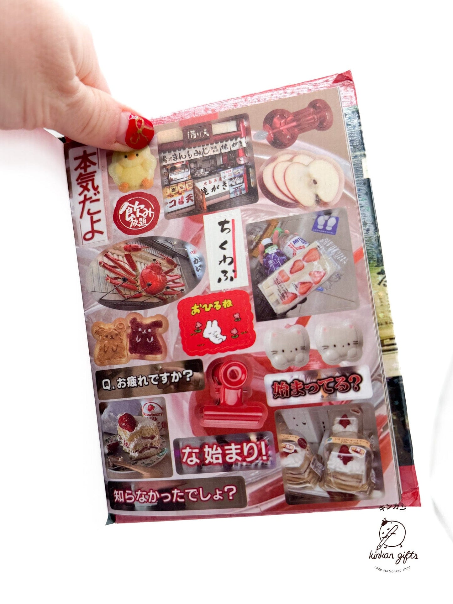 Temu Sticker Books Yuxian Vintage Aesthetic Japanese Sticker Book - Four Seasons Radio - Over 800 stickers (Copy) (Copy)