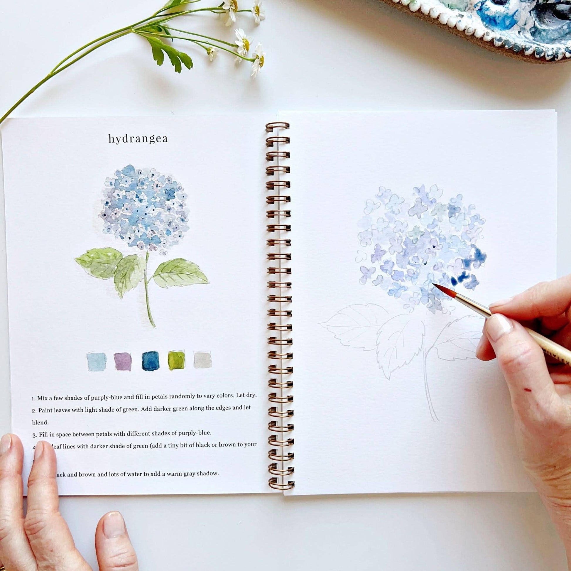 emily lex studio Flowers watercolor workbook