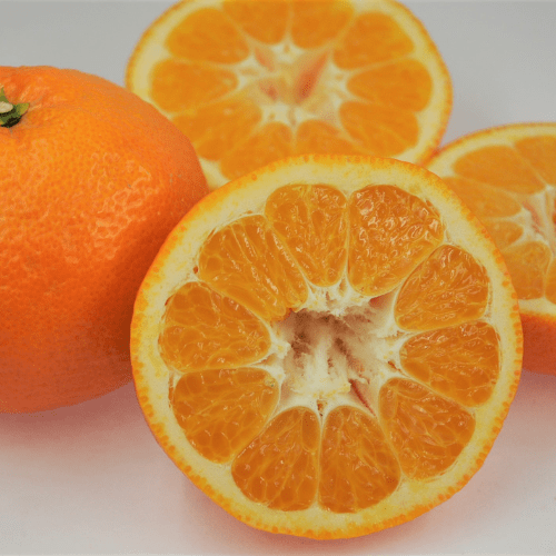 KANKITSU LABO Candy & Chocolate Dry Candied Japanese Citrus Peel | Iyokan (いよかん) | 1.05 oz