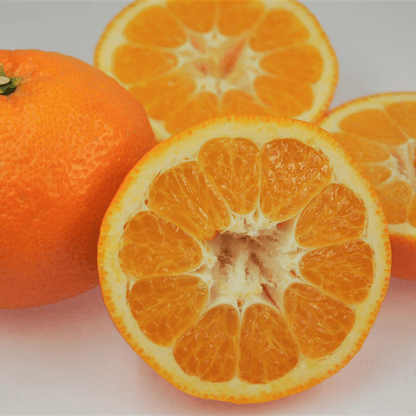 KANKITSU LABO Candy & Chocolate Dry Candied Japanese Citrus Peel | Iyokan (いよかん) | 1.05 oz