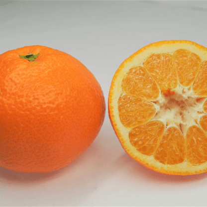 KANKITSU LABO Candy & Chocolate Dry Candied Japanese Citrus Peel | Iyokan (いよかん) | 1.05 oz