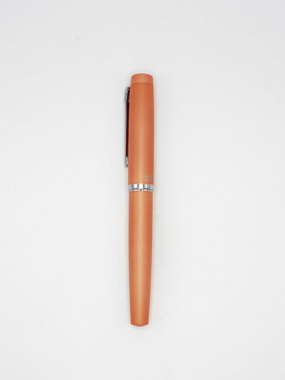 MDS Co.,Ltd. Fountain Pens & Inks Procyon Platinum Fountain Pen