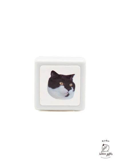 Yamahachi Chemical Scottish Fold Yamahachi Chemical - Real Photo Stamp