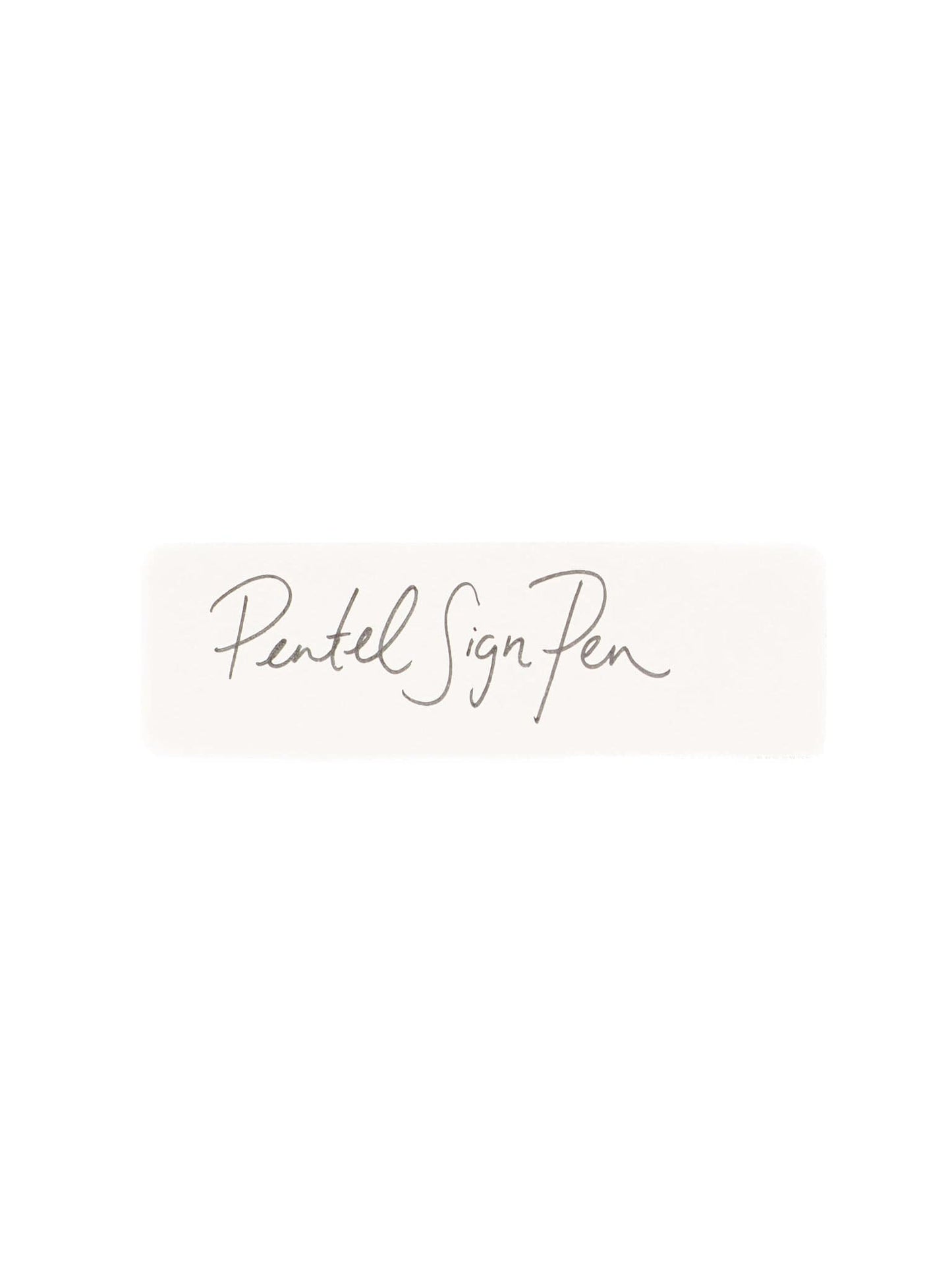 Zoomy BUNGU Pens Pentel Sign Pen Fine Point