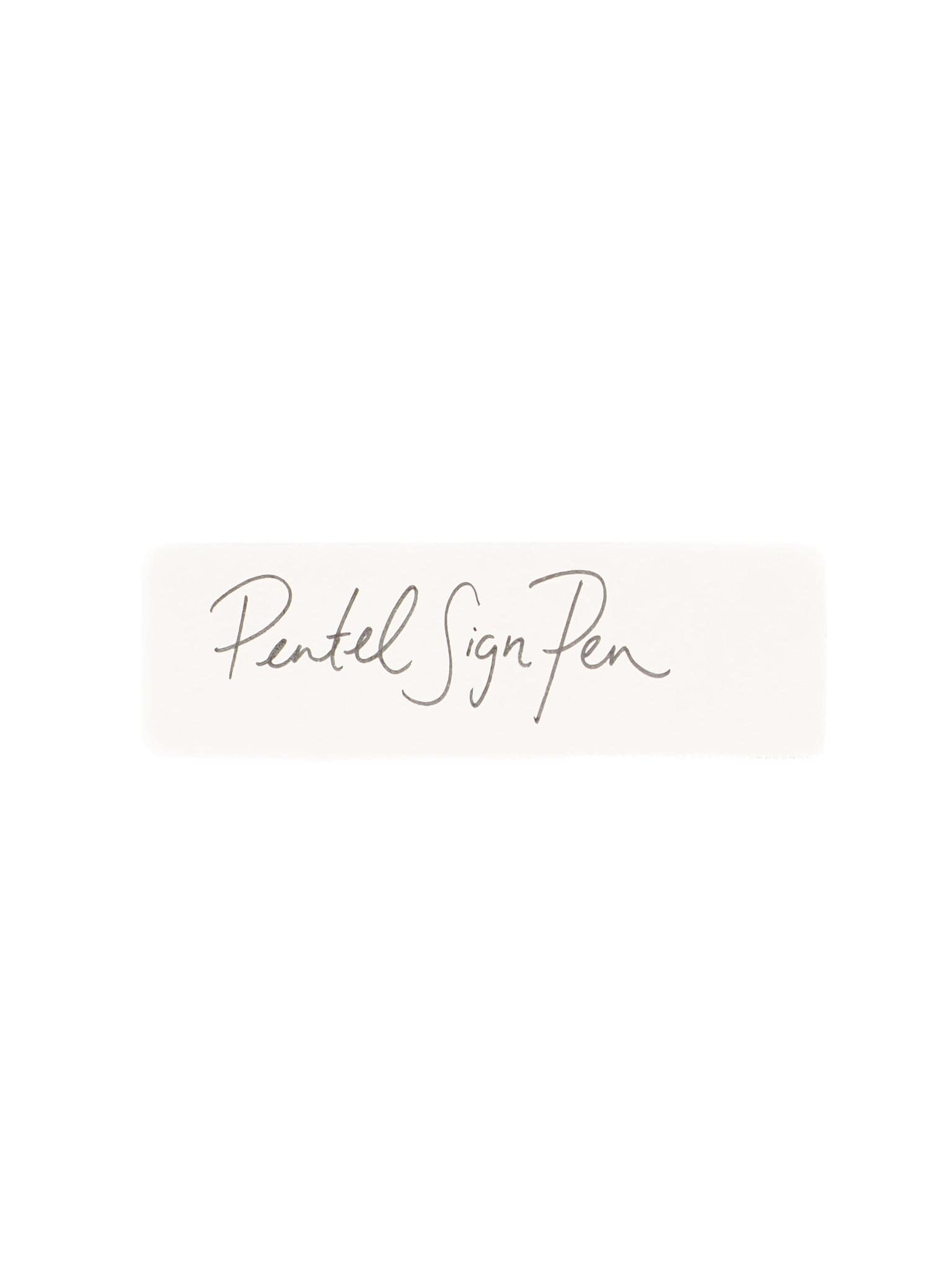 Zoomy BUNGU Pens Pentel Sign Pen Fine Point