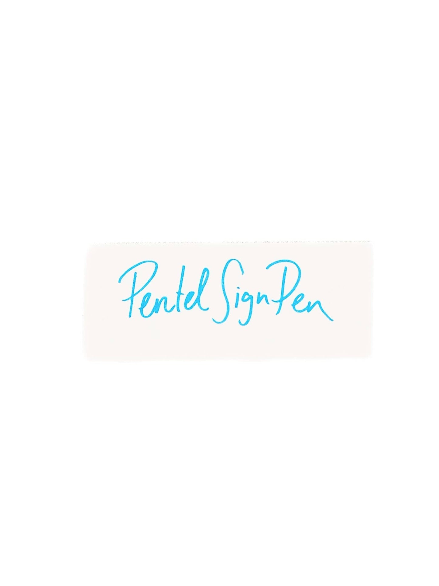 Zoomy BUNGU Pens Pentel Sign Pen Fine Point