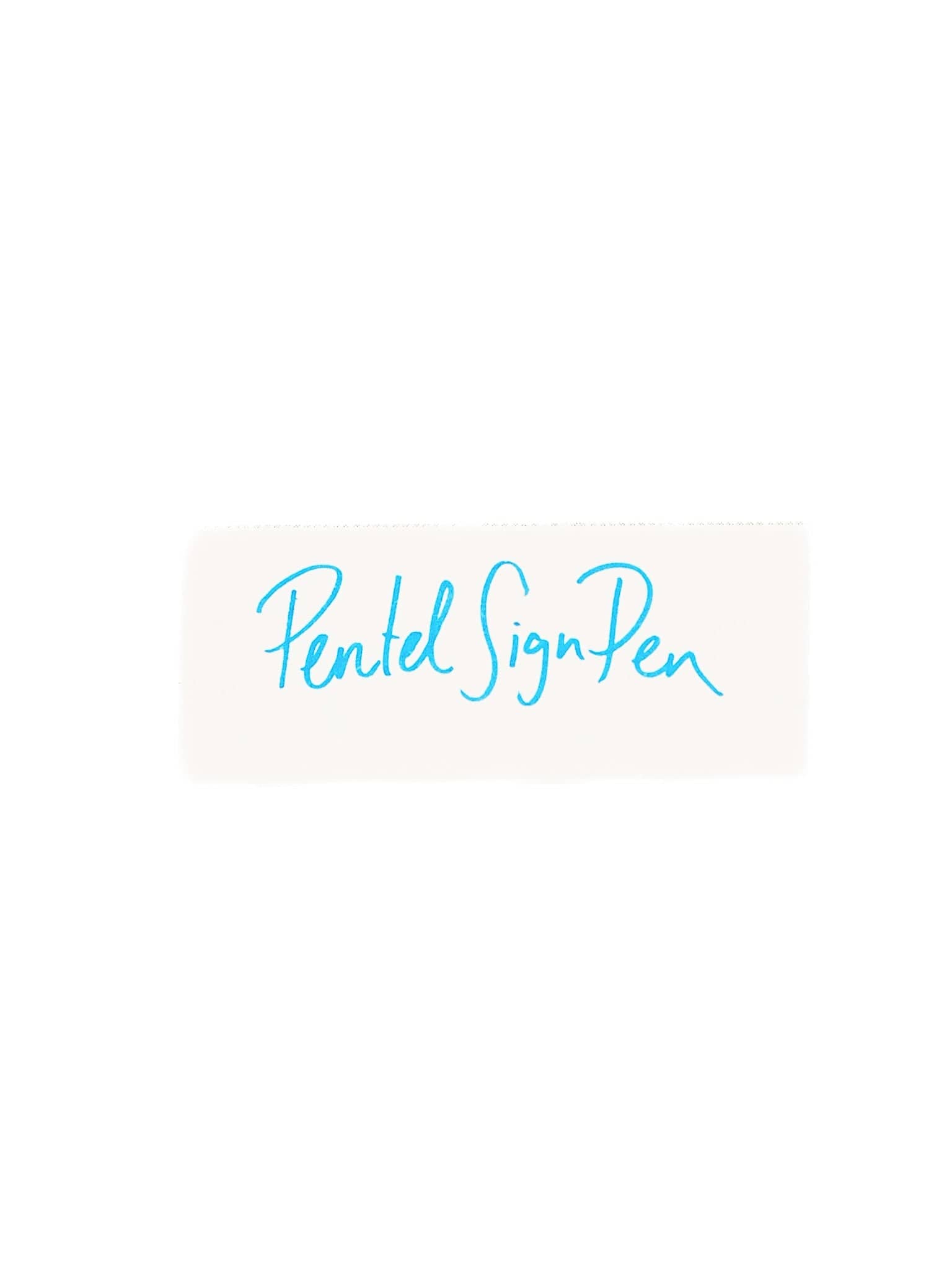 Zoomy BUNGU Pens Pentel Sign Pen Fine Point
